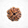 4 Mukhi Nepali Certified Rudraksha